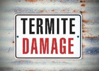 Palo Verde Termite Experts