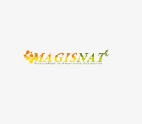 Brands,  Businesses, Places & Professionals MAGISNAT in Peachtree Corners GA