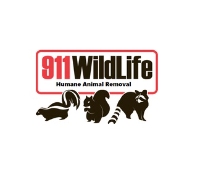 911 Wildlife