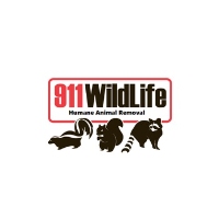 911 Wildlife