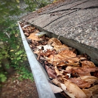 Brands,  Businesses, Places & Professionals Panther City Gutter Solutions in Fort Worth TX