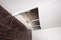 Brands,  Businesses, Places & Professionals Bucket City Water Damage Experts in Murfreesboro TN