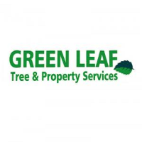 Brands,  Businesses, Places & Professionals Greenleaf Tree & Property Services in Rumney, Cardiff Wales