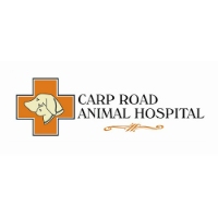 Brands,  Businesses, Places & Professionals Carp Road Animal Hospital in Stittsville ON