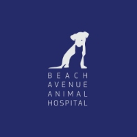 Brands,  Businesses, Places & Professionals Beach Avenue Animal Hospital in Vancouver BC