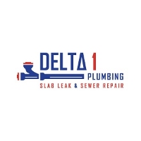 Delta 1 Plumbing