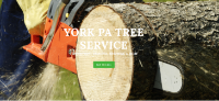 Tree Service York PA