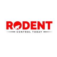 Rodent Control Brisbane