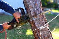 Brands,  Businesses, Places & Professionals Vernon Avenue Tree Service Ontario in Ontario CA