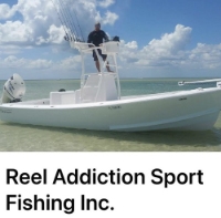 Brands,  Businesses, Places & Professionals Reel Addiction Sportfishing in Sarasota FL