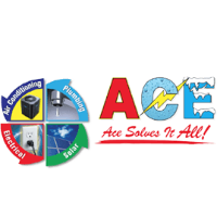 Brands,  Businesses, Places & Professionals Ace Solves It All in Orlando FL