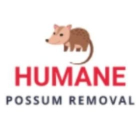 Humane Possum Removal Point Cook