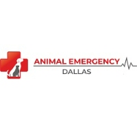 Dallas Animal Emergency