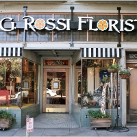 Brands,  Businesses, Places & Professionals G Rossi Florist Inc in Sacramento CA