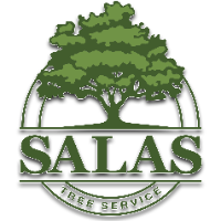 Salas Tree Service