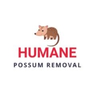 Humane Possum Removal Kyneton