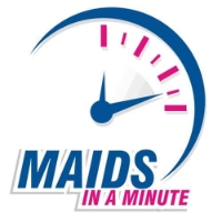 Brands,  Businesses, Places & Professionals Maids in a Minute of Clarkston in City of the Village of Clarkston MI