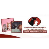 Lakeshore Animal Hospital