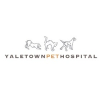 Brands,  Businesses, Places & Professionals Yaletown Pet Hospital in Vancouver BC