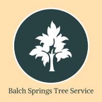 Brands,  Businesses, Places & Professionals Balch Springs Tree Service in Balch Springs TX