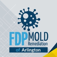 FDP Mold Remediation of Arlington