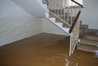 Brands,  Businesses, Places & Professionals Flood Damage Restoration Manly in Manly NSW