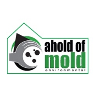 Ahold of Mold Environmental - Ormond Beach