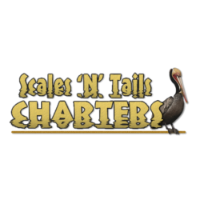 Scales N Tails Charters