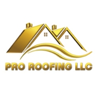 Pro Roofing LLC