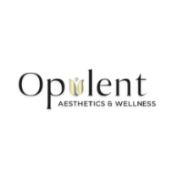 Brands,  Businesses, Places & Professionals Opulent Aesthetics and Wellness in Leominster MA