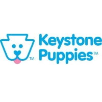 Keystone Puppies