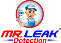 Brands,  Businesses, Places & Professionals Mr. Leak Detection of Niceville in Niceville FL