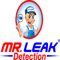 Brands,  Businesses, Places & Professionals Mr. Leak Detection of Defuniak Springs in DeFuniak Springs FL