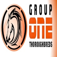 Group One Thoroughbreds