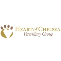 Brands,  Businesses, Places & Professionals Heart of Chelsea Veterinary Group - Park Slope in Park Slope NY