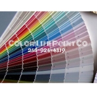 Color Life Painting Company