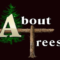 About Trees