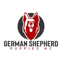 Brands,  Businesses, Places & Professionals German Shepherd Puppies NC in Shannon NC