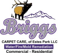 Briggs Carpet Care of Estes Park