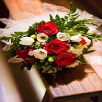 Red Rose Flowers