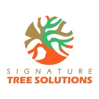 Signature Tree Solutions