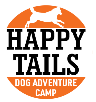 Happy Tails Dog Camp Brooklyn