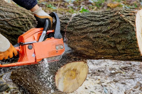 Brands,  Businesses, Places & Professionals Ridley Tree Service Pros in Ridley Park PA