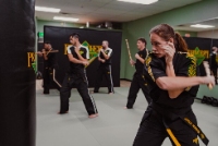 Brands,  Businesses, Places & Professionals Premier Martial Arts in Elk Grove CA