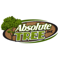 Brands,  Businesses, Places & Professionals Absolute Tree Inc in Alexandria VA