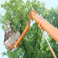 Brands,  Businesses, Places & Professionals Dependable Tree Service - Baton Rouge in baton rouge LA