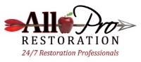 All Pro Restoration