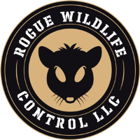 Rogue Wildlife Control