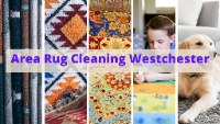 Brands,  Businesses, Places & Professionals Area Rug Cleaning Westchester in Yonkers NY