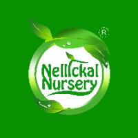 Brands,  Businesses, Places & Professionals Nellickal nursery in Malappuram KL